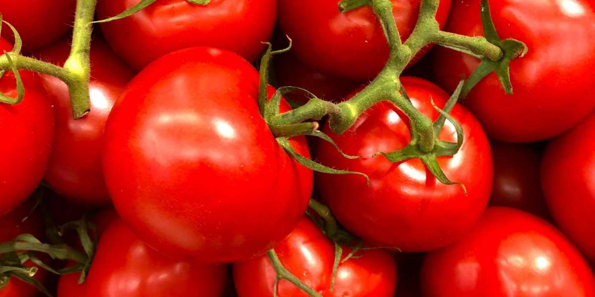 1 Kilo Domatesten Kaç Kilo Salça Çıkar? 1 Kilo Domatesten Ne Kadar Salça Çıkar?