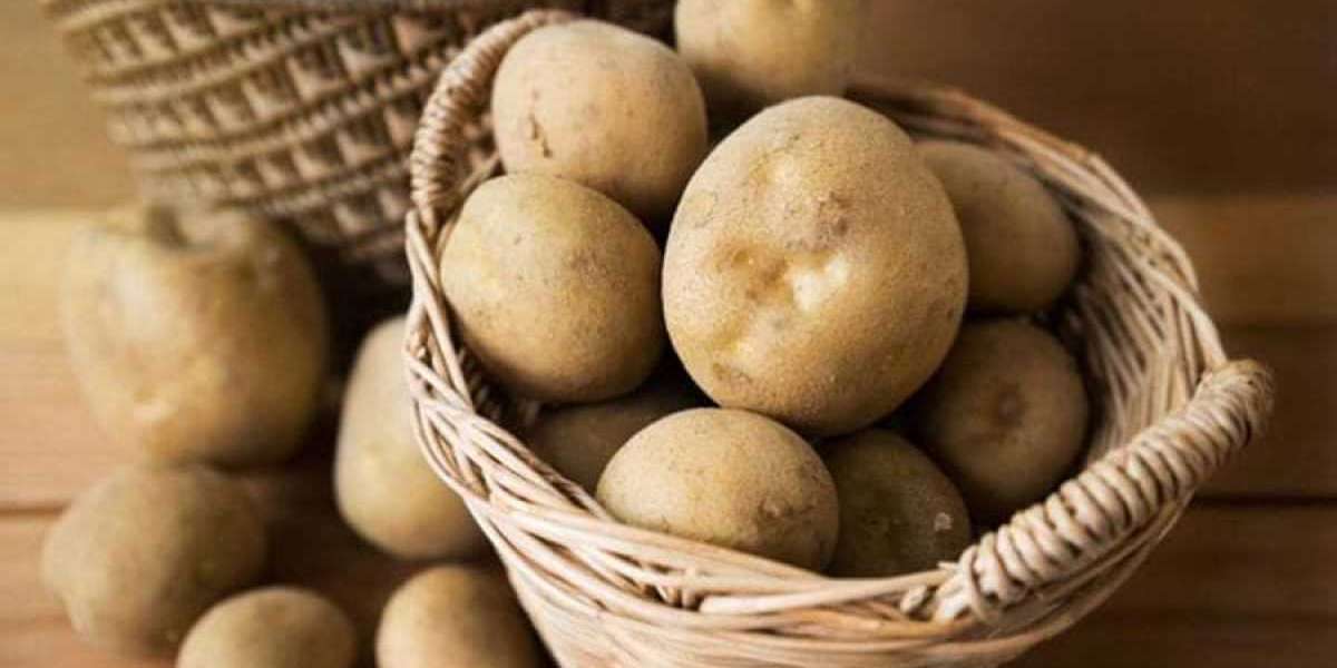 Patatesin Kütlesi Kaç Kilogramdır? 1 Patates Kaç Gramdır?