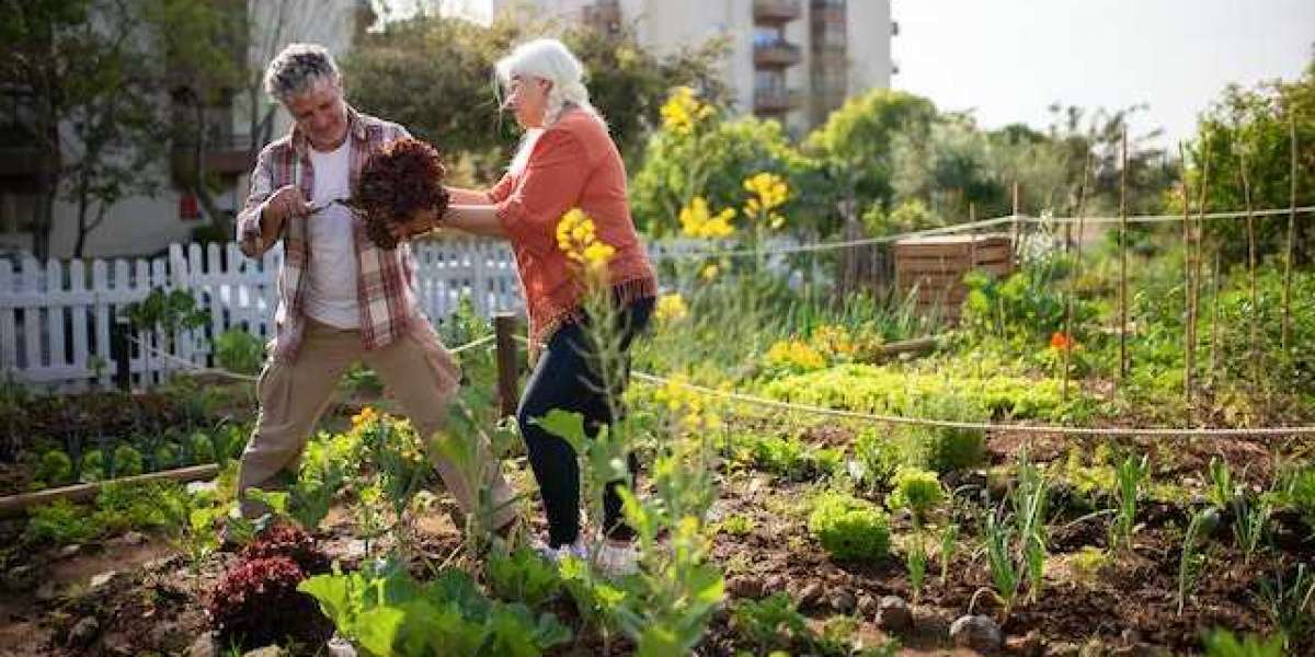 Bahçede Neler Yapılabilir? Ucuza Bahçe Düzenleme?