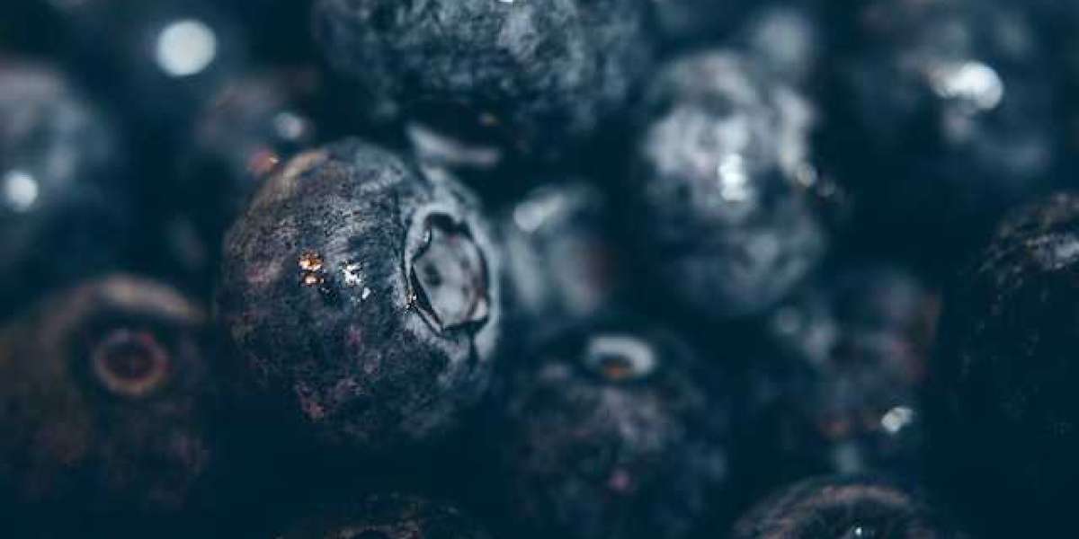 Yaban Mersini Tazesi Nasıl Tüketilir? Gerçek Yaban Mersini Nasıl Anlaşılır?