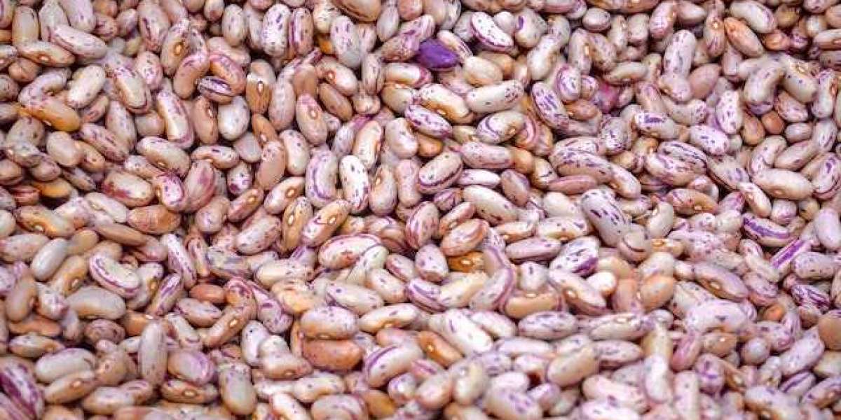 Fasulye Geceden Nasıl Islatılır? Fasulye Nasıl Islatılır?