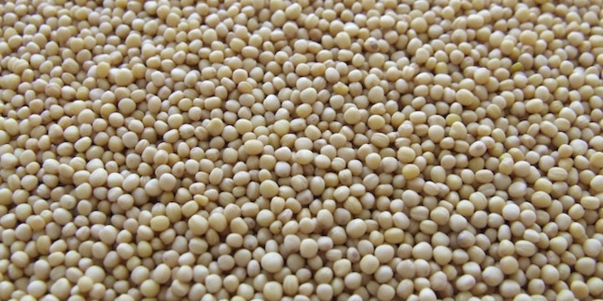 Soya Fasulyesi Nerede Yetişir? Soya Fasulyesi Yetişme Koşulları?