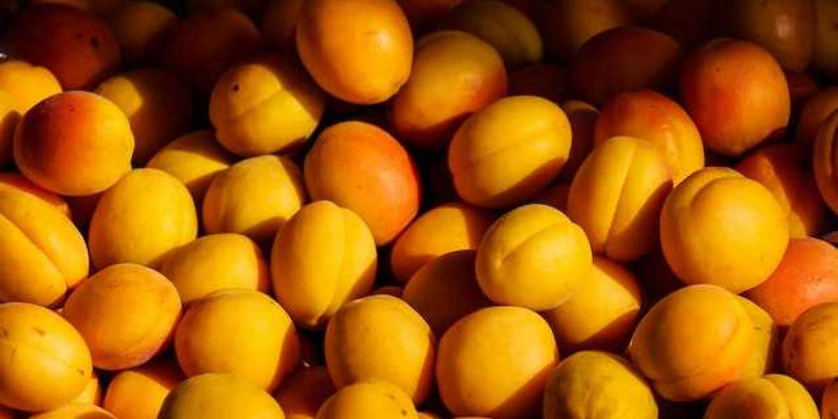 Kayısı Nasıl Kurutulur? Sarı Kayısı Nasıl Kurutulur?