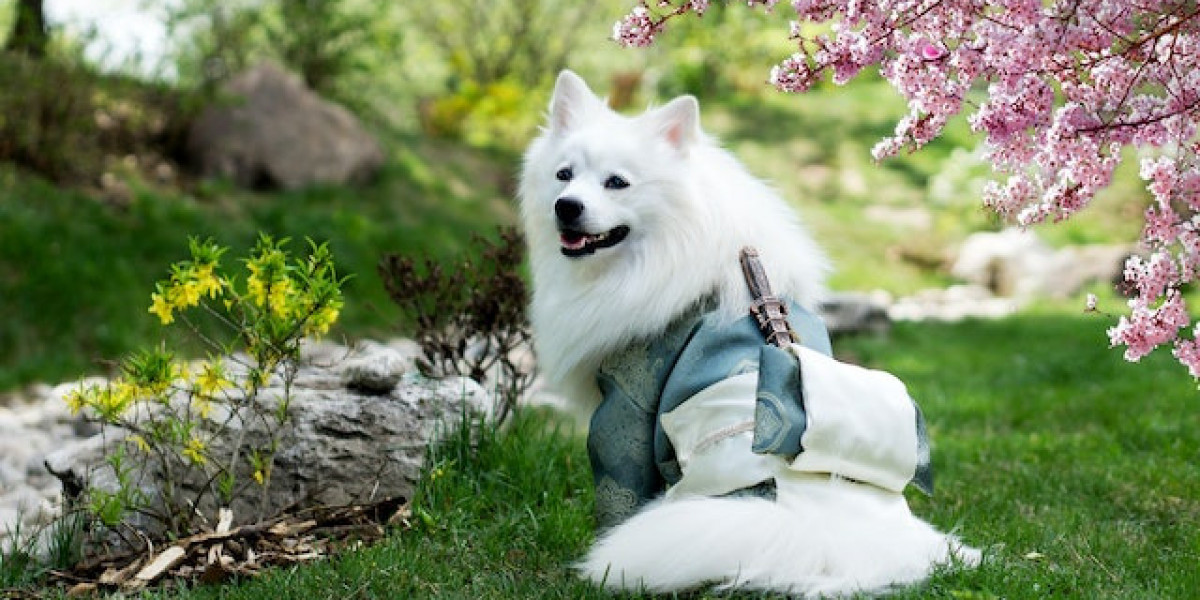 Köpeklerden Bulaşan Hastalıklar? Köpeklerden Bulaşan Hastalık Belirtileri?