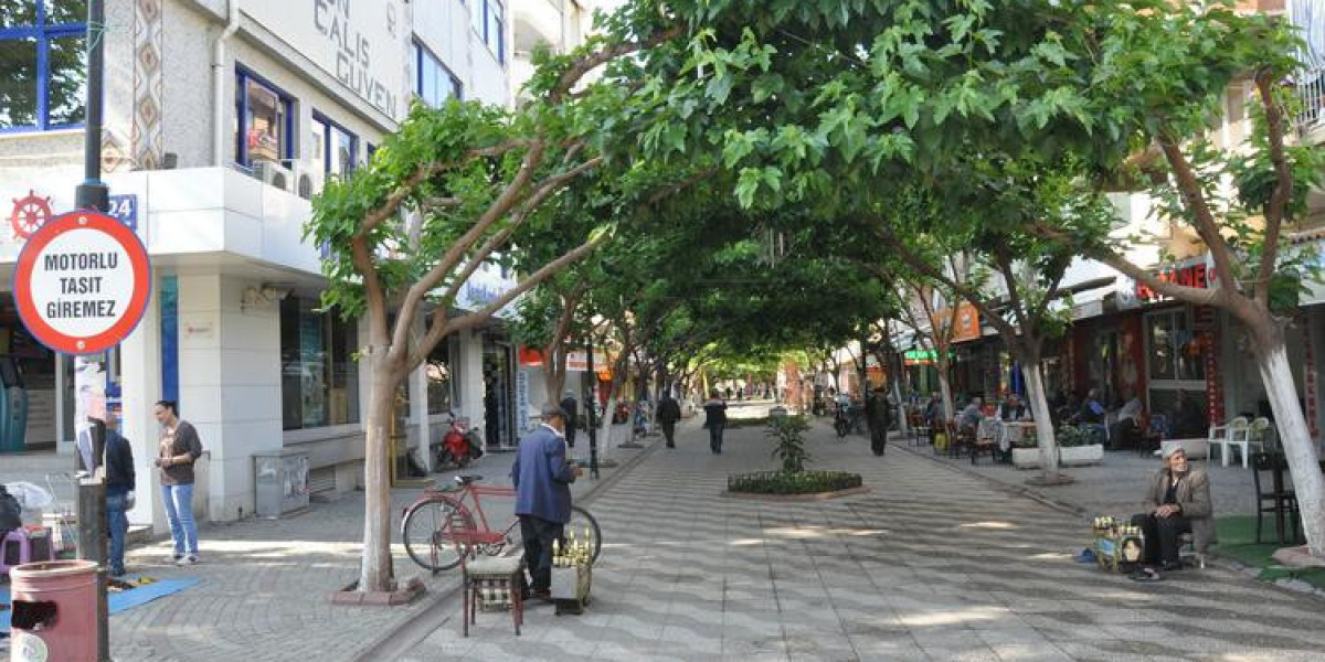 Aydın Nasıl Bir Şehir? Aydın Öğrenci İçin Nasıl Bir Şehir?