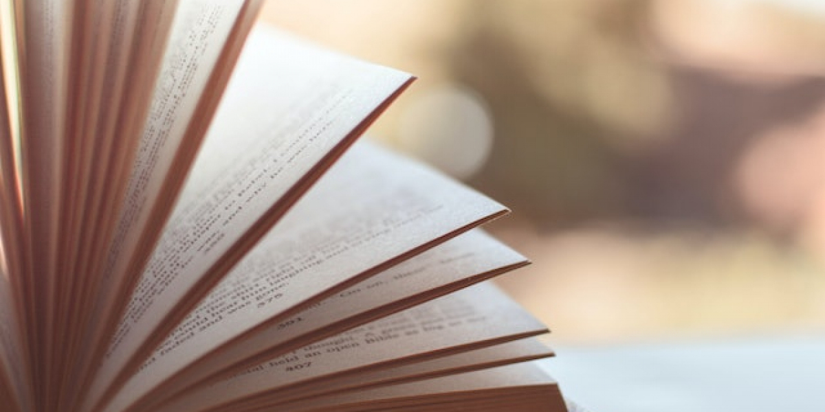 Kitap İncelemesi Nasıl Yapılır? Roman İncelemesi Nasıl Yapılır?