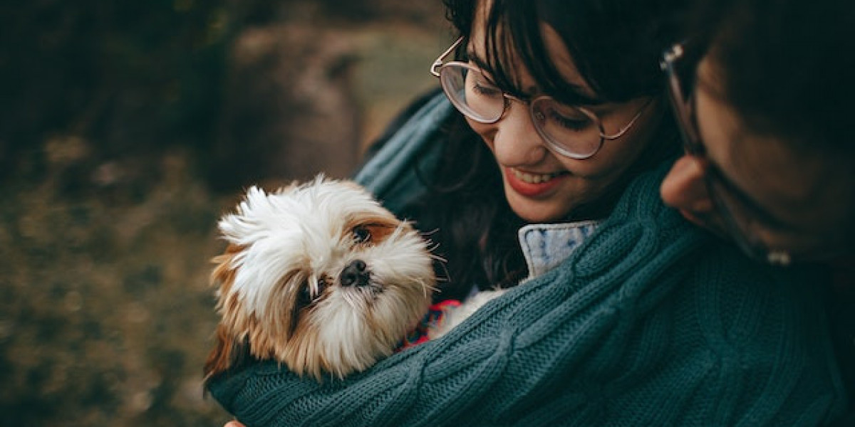 Dişi Köpeklerde Genital Hastalıklar? Dişi Köpeklerde Vajinada Şişlik?