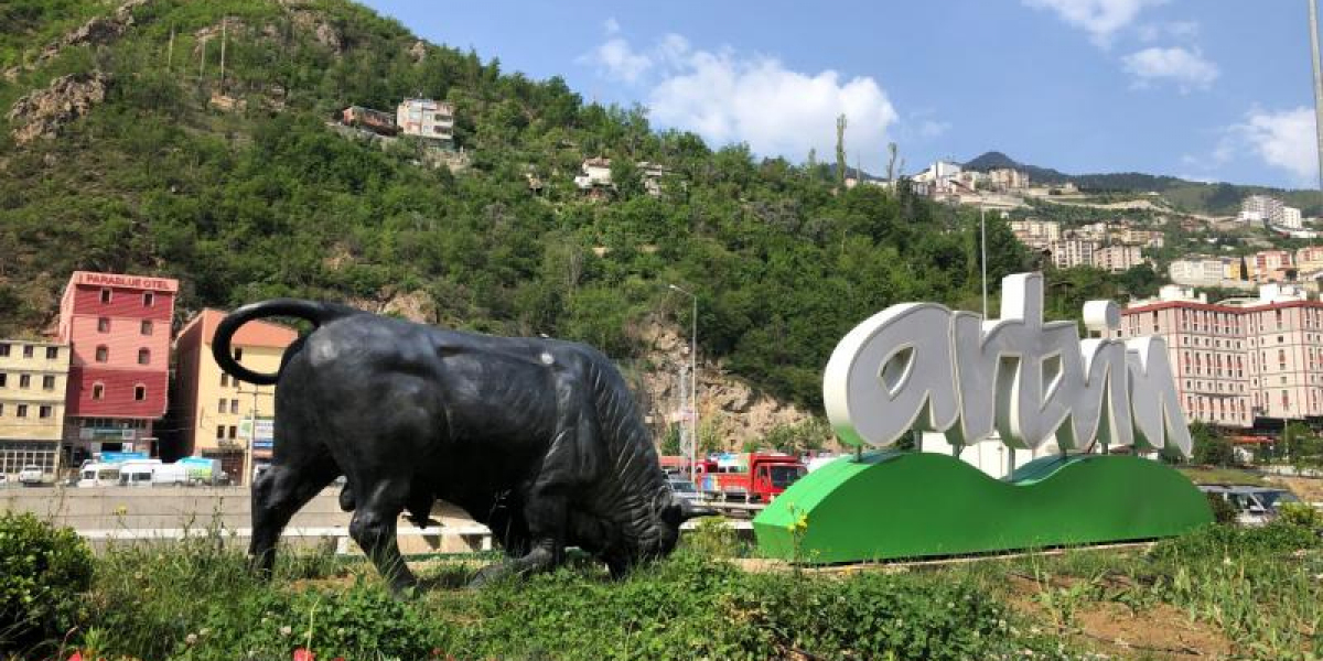 Artvin Nasıl Bir Şehir? Artvin Pahalı Bir Şehir Mi? Artvin de Neler Yapılır?