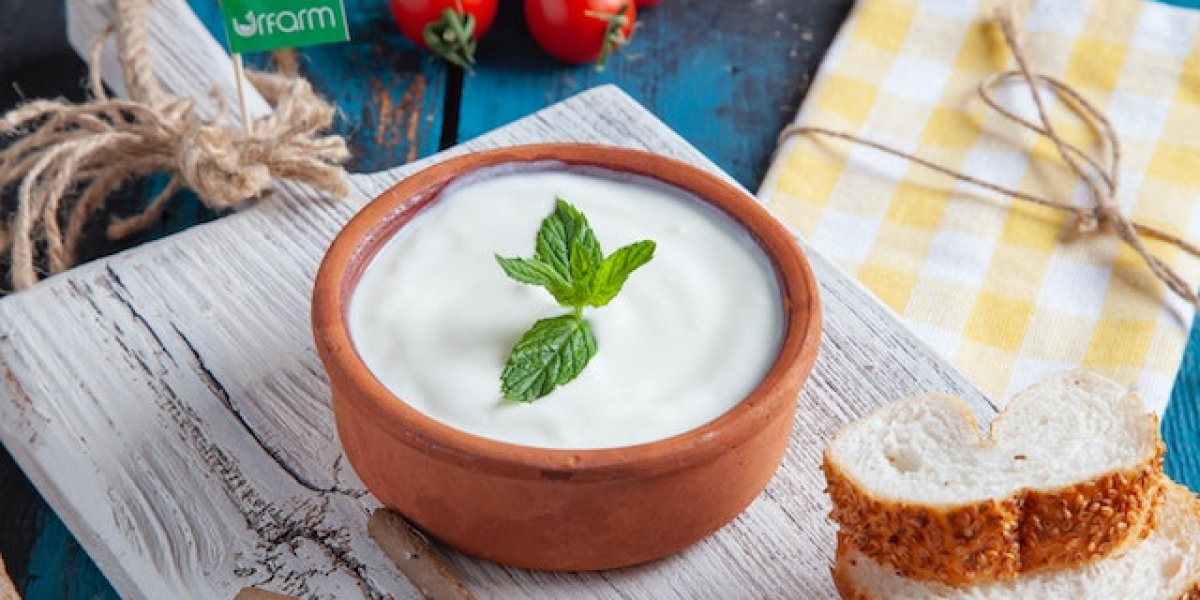 Yoğurt Mayalama Sıcaklığı? Yoğurt Mayalama Kabı?