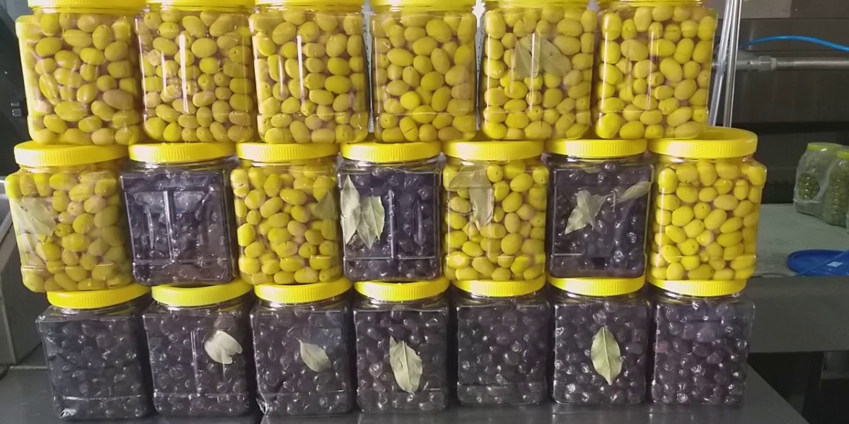 Yumuşamış Zeytin Nasıl Değerlendirilir? Yumuşamış Siyah Zeytin Nasıl Değerlendirilir?