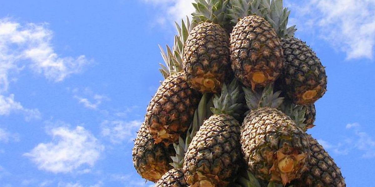Ananas Kac Yilda Yetisir? Ananas Ağacı Kaç Yılda Meyve Verir?