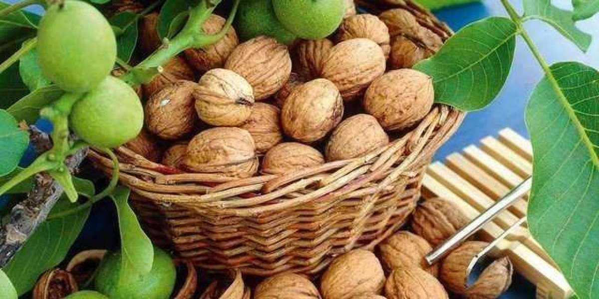Ceviz Hangi Mevsimde Dikilir? Ceviz Ağacı Hangi Mevsimde Dikilir?