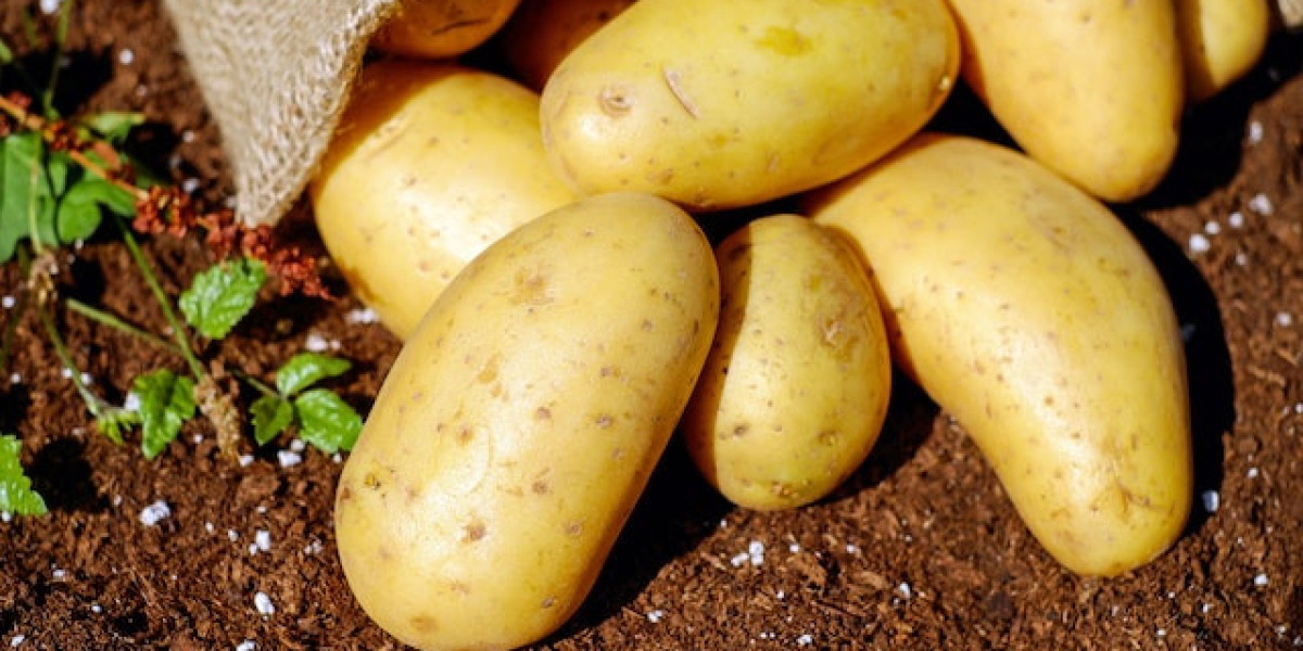 Patates Hangi Ayda Hasat Edilir? Kışlık Patates Hangi Ayda Sökülür?