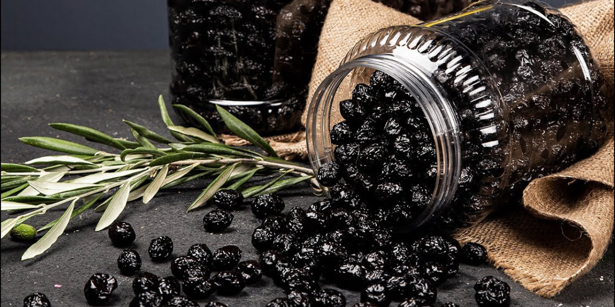 Zeytin Ağacı Hangi Mevsimde Dikilir? Zeytin Fidanı Nasıl Dikilir?
