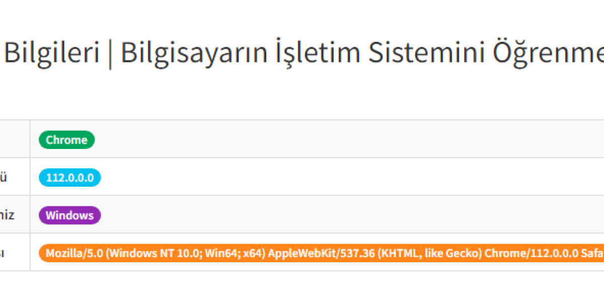 Tarayıcı Bilgileri | Bilgisayarın İşletim Sistemini Öğrenme